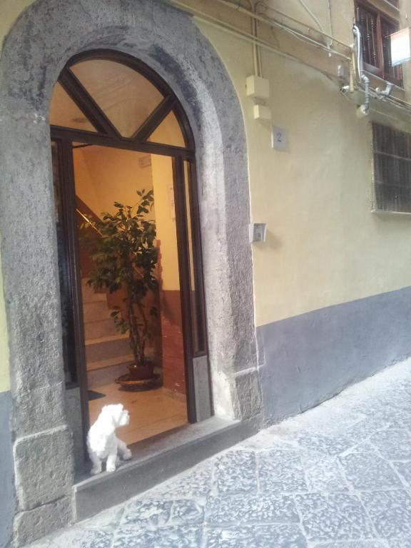 Hotel Dei Gerolomini Nápoles Exterior foto